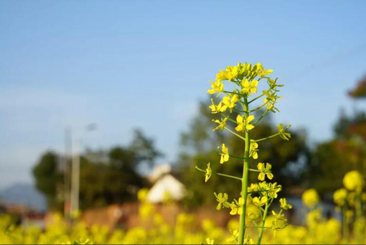 春季該如何預(yù)防控制高血壓？