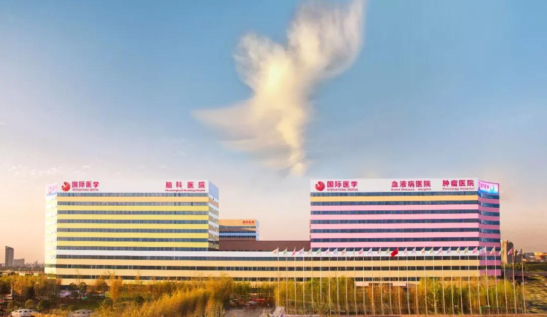 我院援鄂醫(yī)療隊榮獲陜西省抗擊新冠肺炎疫情先進集體 王海昌、韓新鵬、陳麗獲陜西省抗擊新冠肺炎疫情先進個人