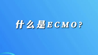【名醫(yī)面對面之心臟100問】什么是ECMO？