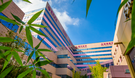 國(guó)醫(yī)四味：竹林、紫杉、桂花、銀杏，還有那……