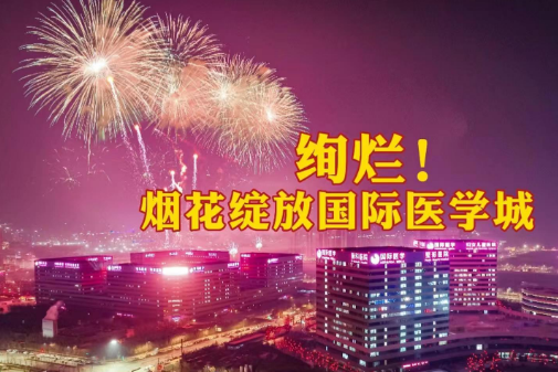 絢爛！煙花綻放國際醫(yī)學(xué)城