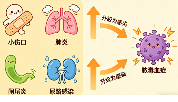 警惕“小毛病”變“大危機(jī)”！醫(yī)生提醒：這種“普通感染”可能要命
